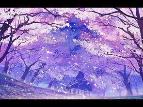 樱花动漫在线免费观看,免费畅享精彩动画时光
